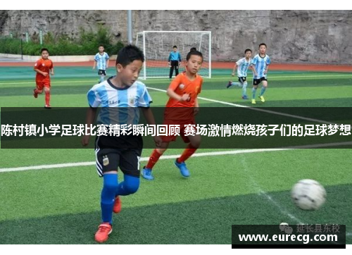 陈村镇小学足球比赛精彩瞬间回顾 赛场激情燃烧孩子们的足球梦想